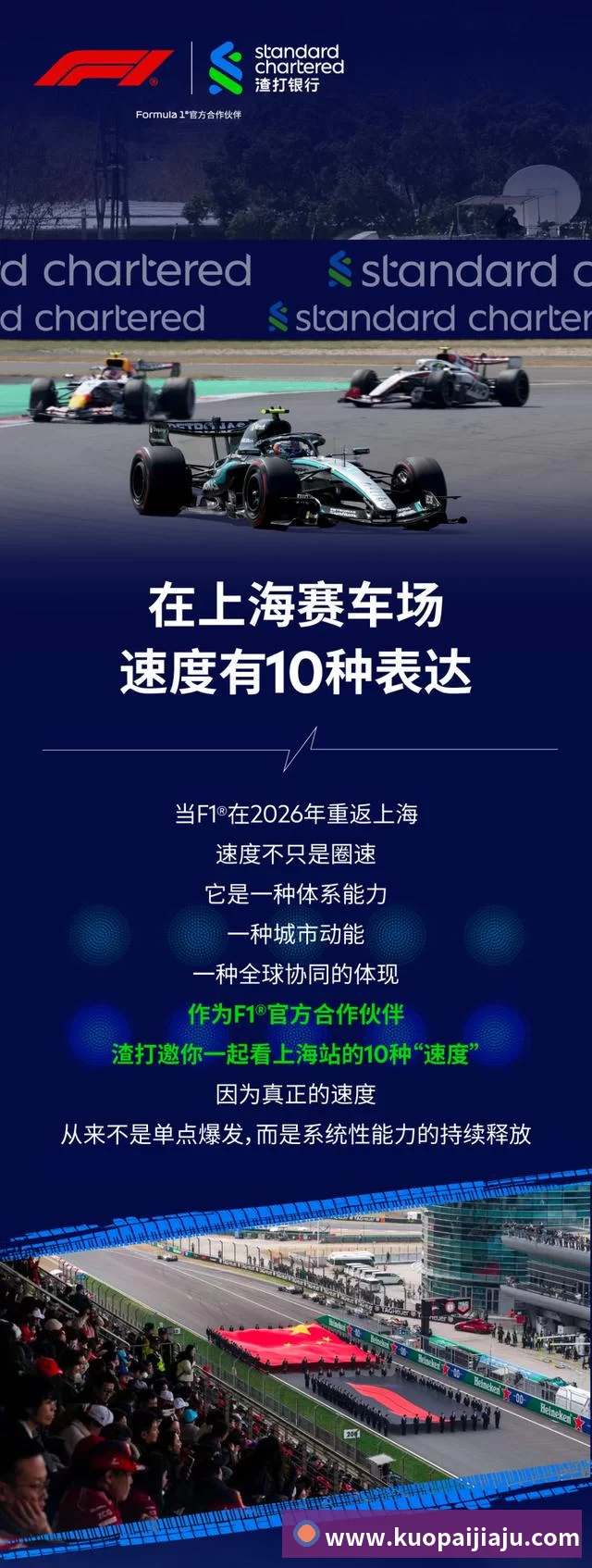 体育数据展示